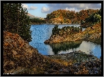 Skały, Jezioro, Aoos Lake, Drzewa, Grecja