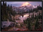 Stratowulkan, Góra, Mount Rainier, Drzewa, Jezioro, Tipsoo Lake, 
Park Narodowy Mount Rainier, Waszyngton, Stany Zjednoczone