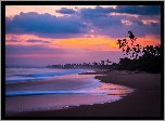 Sri Lanka, Plaża, Ocean, Zachód Słońca, Palmy