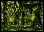 Las
