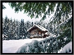 Domek, Las, Zima