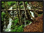 Las, Wodospady, Drewniana, Kładka