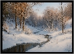 Zima, Las, Drzewa, Strumień, Śnieg