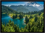 Las, Drzewa, Góry Kaskadowe, Góra, Mount Rainier, Jezioro, Eunice Lake, Park Narodowy Mount Rainier, Stan Waszyngton, Stany Zjednoczone