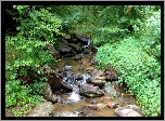 Las, Potok, Kamienie, Wiosna, Georgia, USA