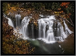 Las, Rzeka, Lewis River, Wodospad, Lower Lewis River Falls, Gifford Pinchot National Forest, Stan Waszyngton, Stany Zjednoczone