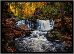 Stany Zjednoczone, Pensylwania, Ricketts Glen State Park, Jesień, Las, Wodospad, Cayuga Falls, Rzeka, Drzewa