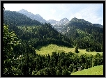 Góry, Las, Łąka