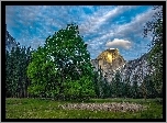 Góry, Las, Drzewa