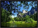 Stany Zjednoczone, Stan Kalifornia, Park Narodowy Yosemite, Góry, Las, Rzeka