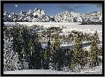 Góry, Las, Zima