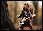 Wiewiórka, Muzyk, Gitara, Las, Śmieszne, Grafika