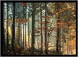 Jesień, Las, Drzewa