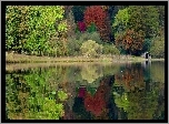 Jesień, Las, Jezioro