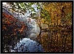 Jesień, Las, Jezioro