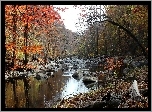 Las, Rzeka, Kamienie, Jesień, Mostek