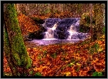 Jesień, Las, Wodospad