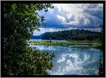 Las, Jezioro