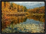 Las, jezioro