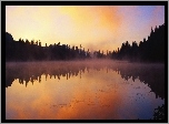 Las, Jezioro