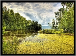 Jezioro, Las, Chmury
