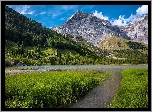 Góry, Alpy, Las, Trawa, Jezioro Lac de Derborence, Kanton Valais, Szwajcaria