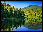 Las, Iglasty, Jezioro, Góry