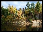 Jezioro, Las, Jesień