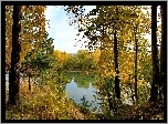 Jezioro, Las, Jesień