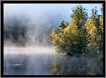 Jezioro, Las, Mgła