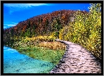 Jezioro, Las, Mostek
