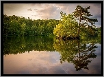 Jezioro, Las, Odbicie