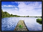 Jezioro, Las, Pomost