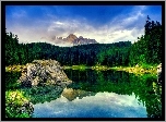 Jezioro, Las, Sosnowy