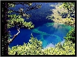 Jezioro, Las, Szwajcaria