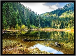 Jezioro, Las, Wzgórza