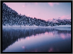 Jezioro, Las, Zima