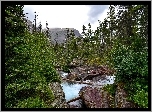 Las, Góry, Kamienie, Wodospad