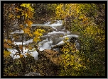 Rzeka, Las, Kamienie, Krzewy, Liście