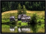 Las, Domki, Nad, Jeziorem