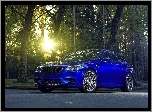 Las, Promienie, Słońca, Niebieskie, BMW