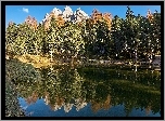 Las, Jezioro, Drzewa, Góry, Niebo, Chmurka