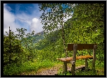 Las, Drzewa, Zieleń, Ławka, Niebo, Chmury