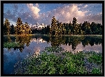 Las, Jezioro, Szuwary, Obłoki, Odbicie