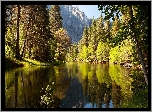 Stany Zjednoczone, Stan Kalifornia, Park Narodowy Yosemite, Góry, Rzeka, Las