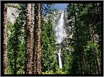 Stany Zjednoczone, Kalifornia, Park Narodowy Yosemite, Wodospad Upper Yosemite Fall, Drzewa, Las, Stany Zjednoczone, Kalifornijski