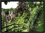 Las, Ruiny, Drzewa, Schody, Płot, Ogrodzenie