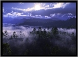 Las, Mgła, Pochmurne, Niebo