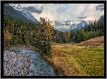 Rzeka, Spray River, Drzewa, Las, Łąka, Góry, Canadian Rockies, Park Narodowy Banff, Alberta, Kanada