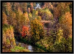 Las, Jesień, Drzewa, Rzeka, Cerkiew